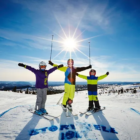 Storefjell - Panorama דירה