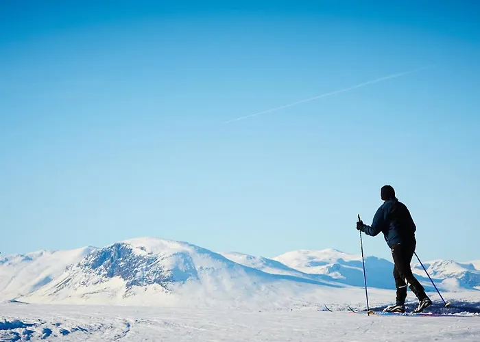 Storefjell - Panorama