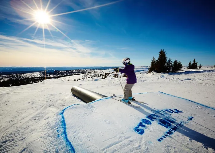Storefjell - Panorama Appartamento *